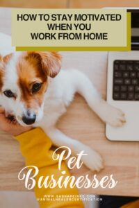 How To Stay Motivated When You Work From Home