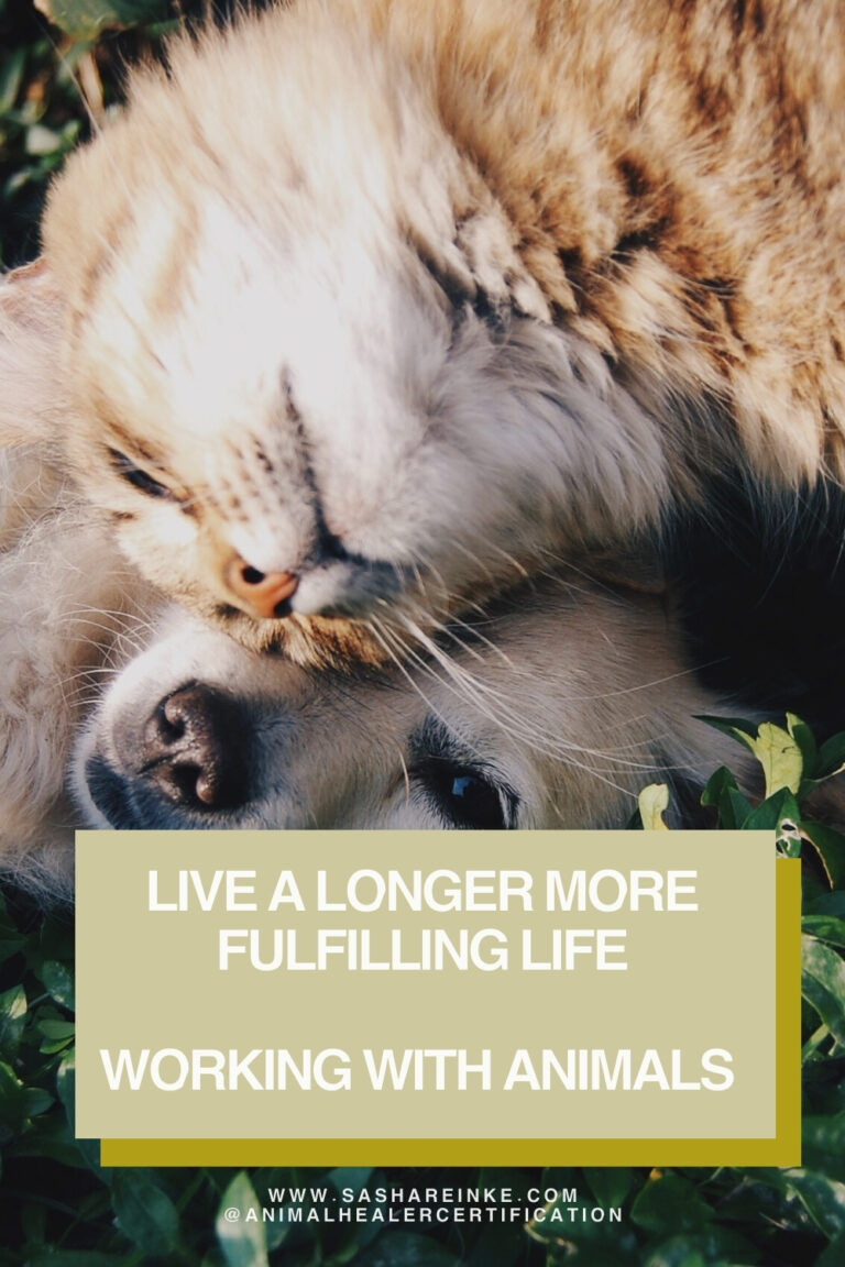 working with animals help people get healthier and live longer more fulfilling lives