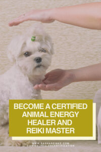 Learn how to become an animal healer in 5 easy Steps: what you need to know before you start