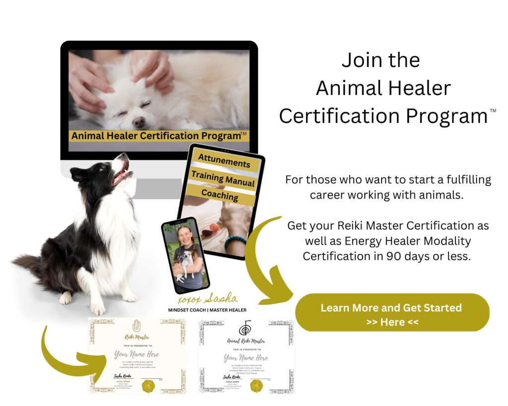 work with animals and become a Certified Animal Reiki Energy Healer