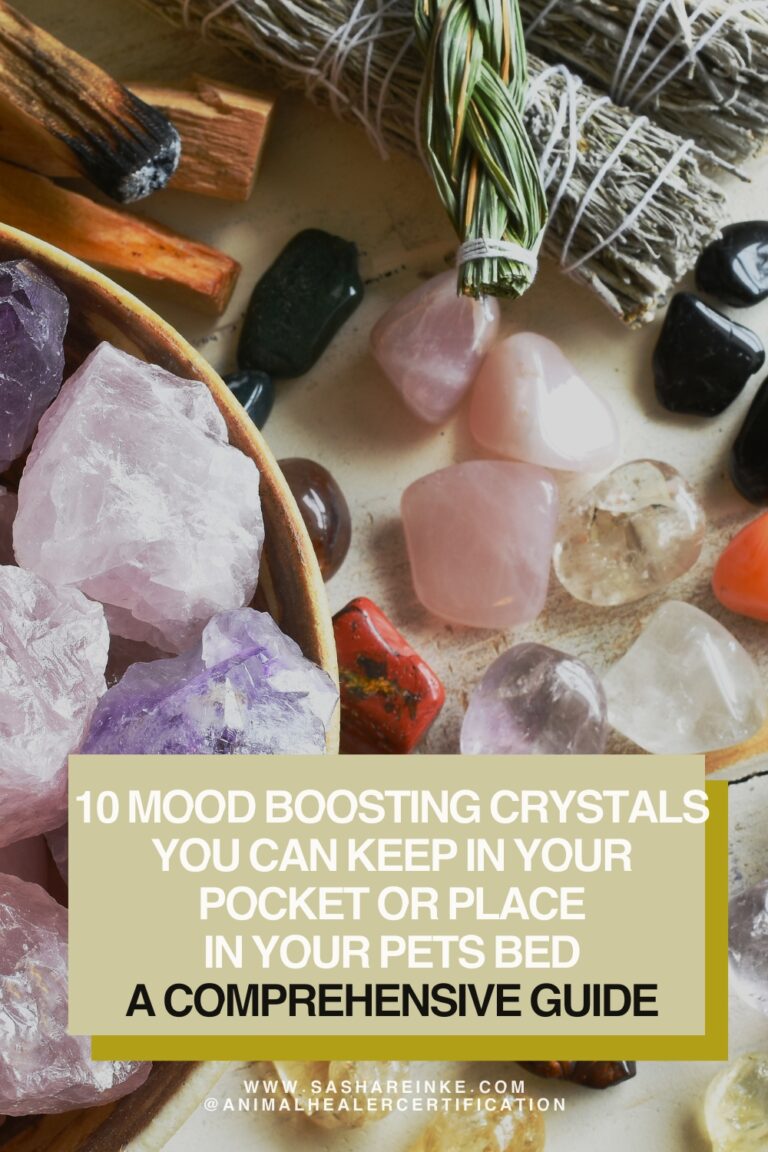 10 mood boosting Crystals you can keep in your pocket or place in your pets bed