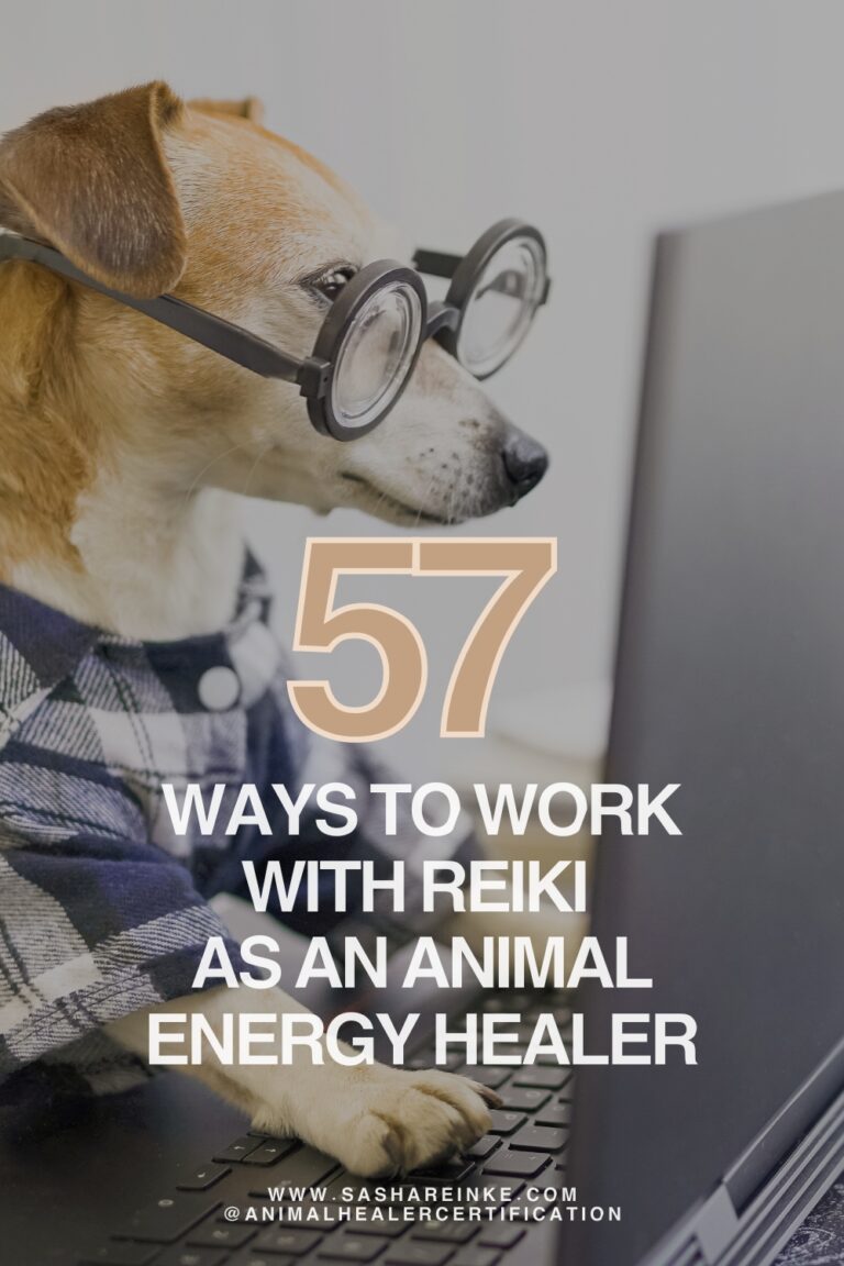 57 ways to work with reiki as an animal energy healer