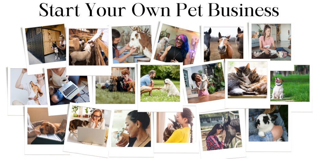 start your own pet business, work with animals, animal healer, reiki master, animal reiki