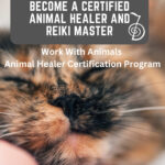 Business PracticeS for Animal Healers: Essential Strategies for Success