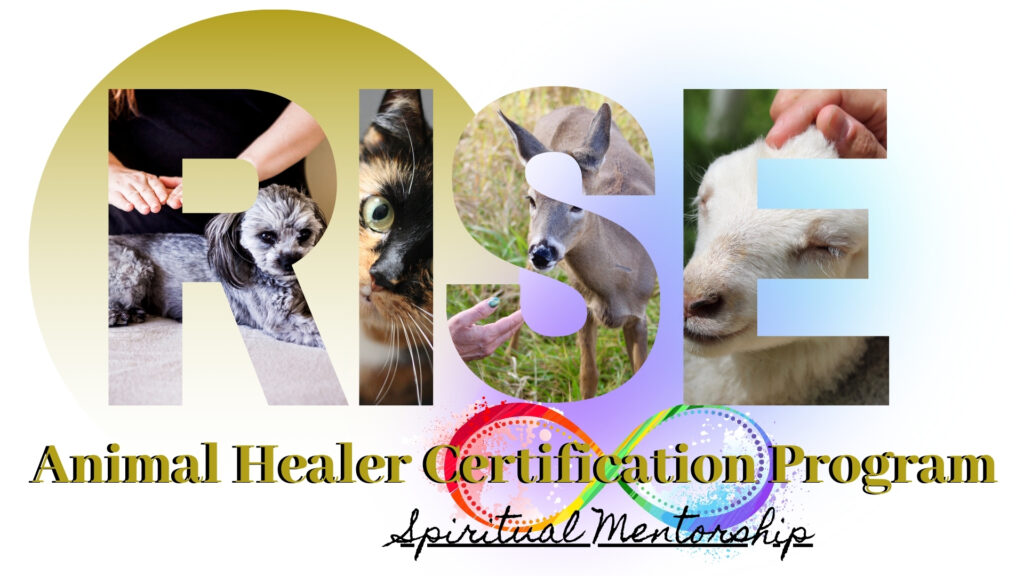 start your own pet business, work with animals, animal healer, reiki master, animal reiki