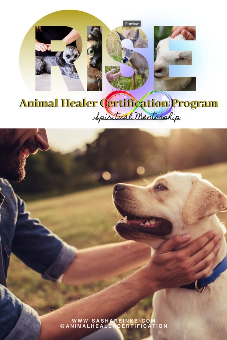introduction to animal healing