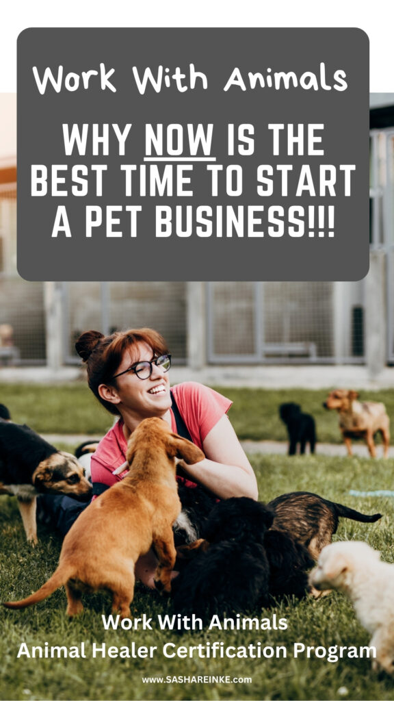 start your own pet business, work with animals, animal healer, reiki master, animal reiki