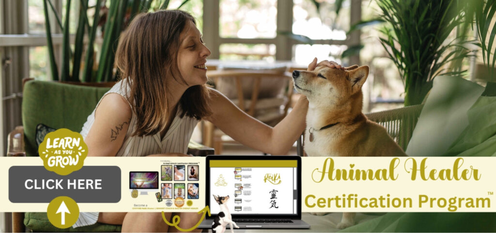 start your own pet business, work with animals, animal healer, reiki master, animal reiki