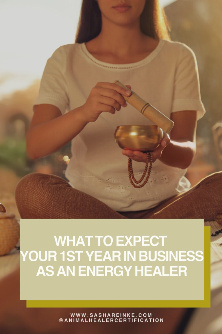 what to expect your first year in business as an energy healer