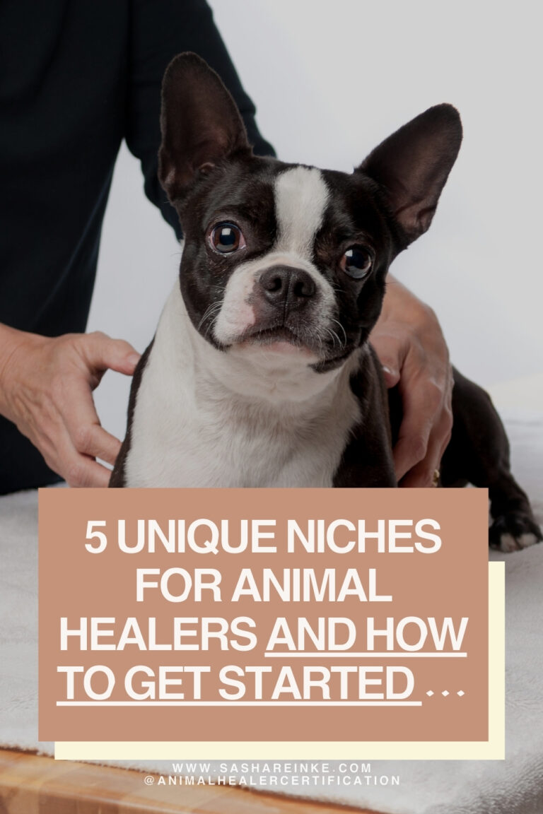 Unlocking the Potential of Working from Home as an Animal Healer: 5 Unique Niches and How to Get Started